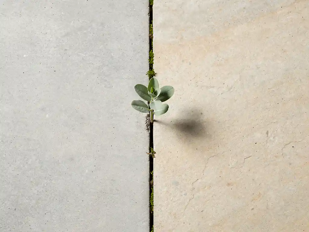 Groen zaailing die door gebarsten beton groeit, gefotografeerd van bovenaf op een warme grijze achtergrond.