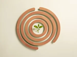 Houten labyrintpad dat spiraalvormig naar binnen leidt, met een klein groen zaailing in het midden op een ivoren ondergrond.