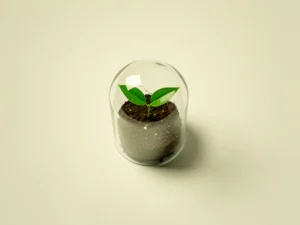 Groen zaailing onder glazen stolp op wit bureau, minimalistische compositie in salie- en ivoortinten.
